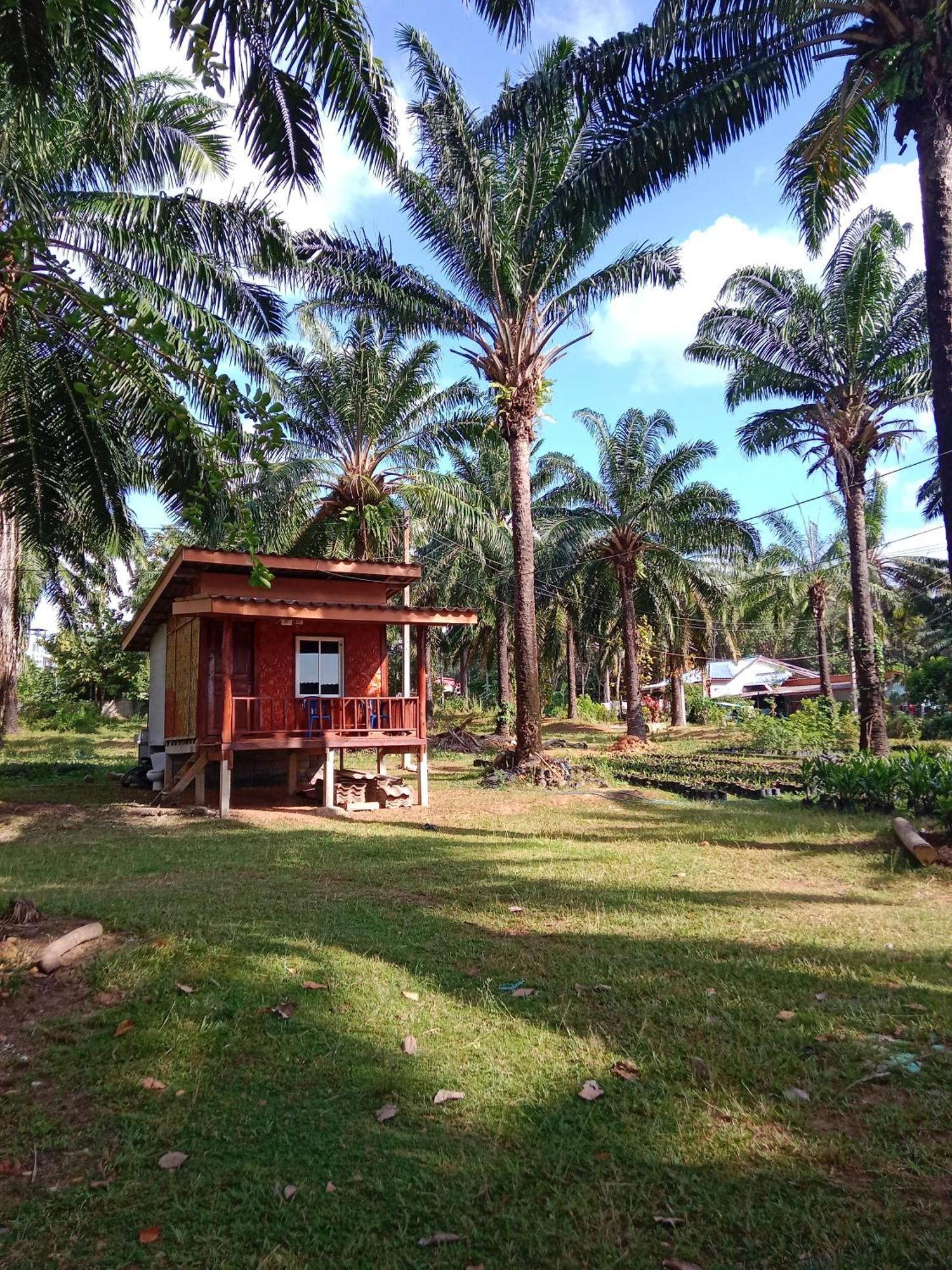 Hotel Som Palmgarden Ko Lanta Exteriér fotografie