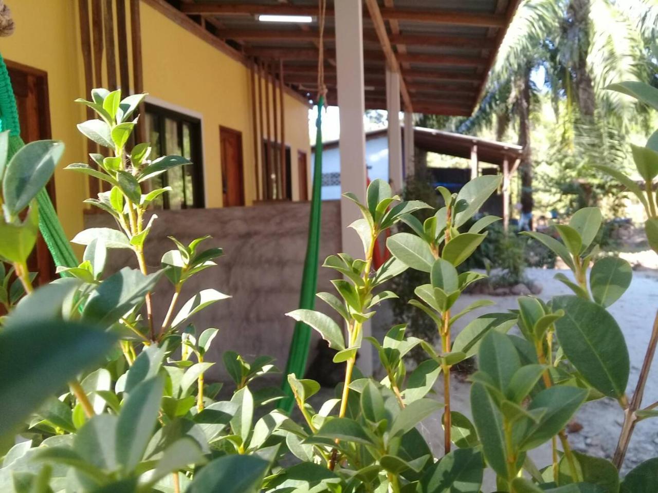 Hotel Som Palmgarden Ko Lanta Exteriér fotografie